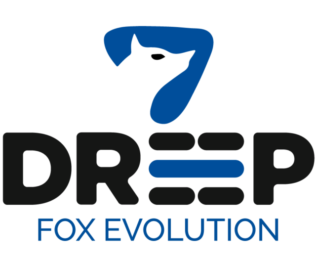 https://www.dreep.it/wp-content/uploads/2025/02/logo_dreep-640x540.png