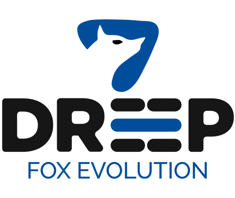 https://www.dreep.it/wp-content/uploads/2025/02/logo_dreep-768x648.png